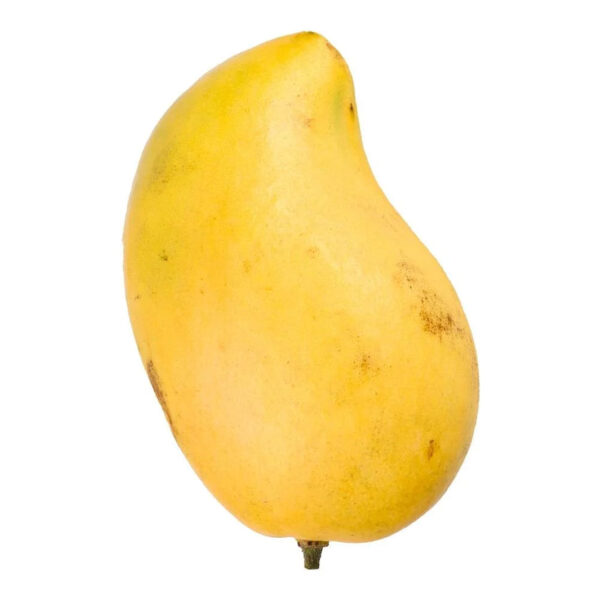 Ataulfo Mango