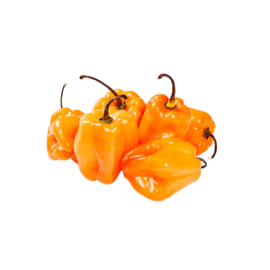 Chile Habanero